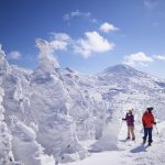 Hakkoda Snow Monsters – Hoshino Resorts