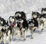 sled-dogs-ac1af-205×145