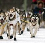 iditarod-15_1594157ia830