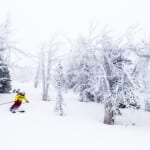 Skiing Tetons White Frost Wyoming