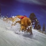 Bandit Ski Heavenly @elhawko