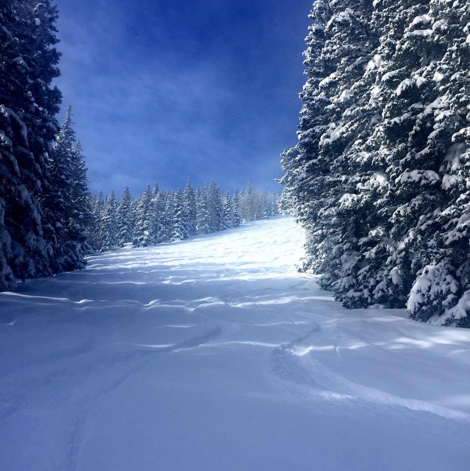 First tracks on Aspen's Ajax Mountain. Sigh.