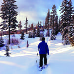 Snowshoeing