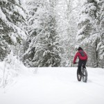 Fat-biking-in-the-forest-900×480