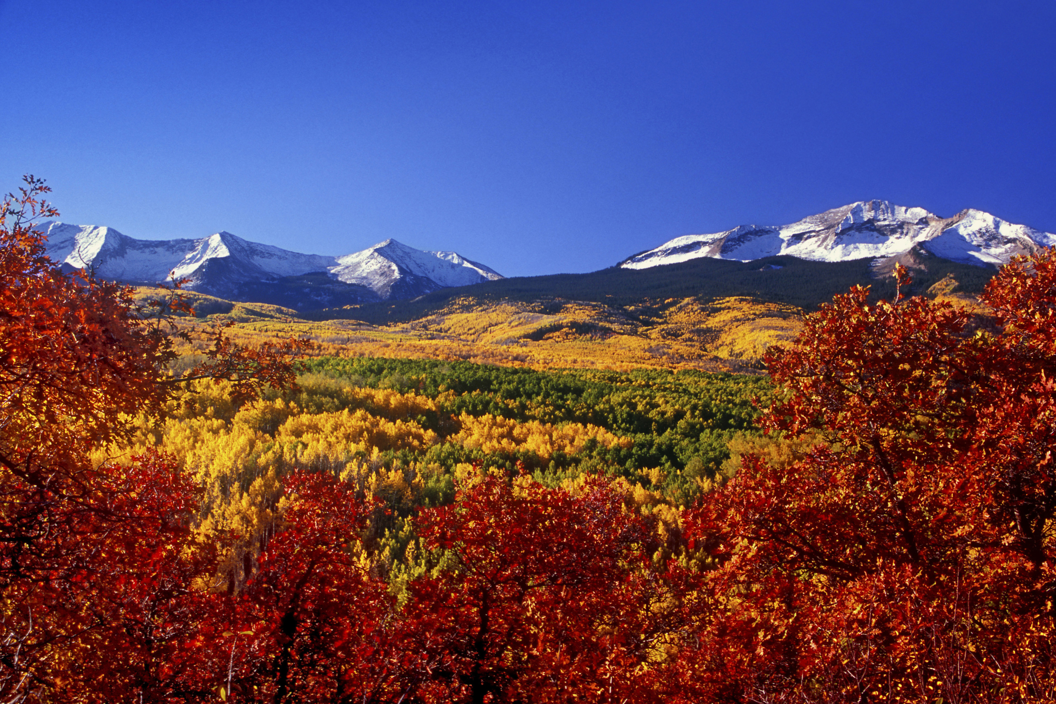 Kebler Pass Colorado USA