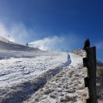 NZ Falcon watches over snowmaking_Coronet Peak