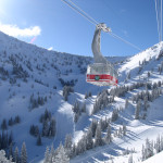 Snowbird