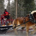 sleigh-rides-ashx