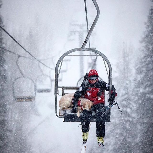 Telluride ski patrol. Image by Ben Knight.