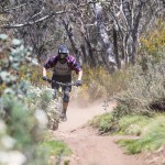 riding-through-the-forest-thredbo-mountain-bike-park