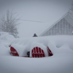 snowfall at Squaw