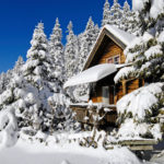 Baum, Wald, Hütte;.Tree, Forest, Hut;