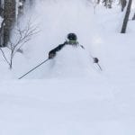 nozawa powder