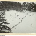 australian corps ski school lebanon