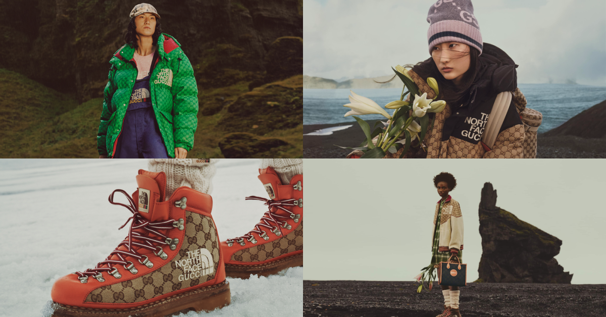 THE NORTH FACE GUCCI V2 – Brand Factory 99