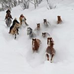 Horses running, snow