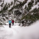 Designated snowshoeing trail at the Nelson Nordic Ski Club (Busk Trail).