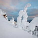 A skier skiing through the snow ghosts at Sun Peaks Resort.