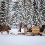 lone mountain sleigh ride