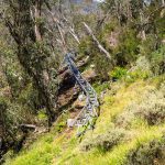 ALPINE COASTER CONSTRUCTION