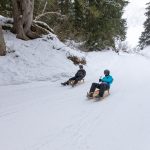 Schilthorn Bob Run sledging.