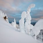 A skier skiing through the snow ghosts at Sun Peaks Resort.